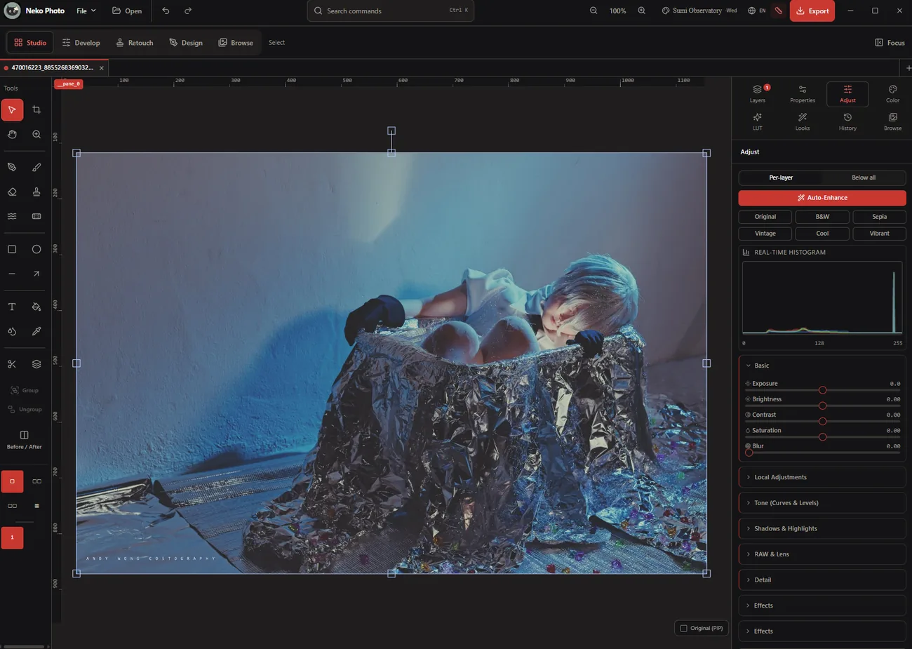 Neko Photo editing a photo with the Adjust panel and real-time histogram