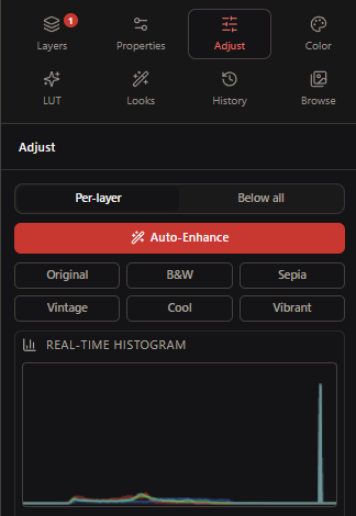 Adjust panel with Basic sliders for exposure, brightness, contrast, saturation and blur